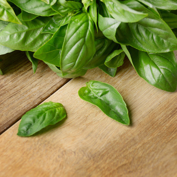 Basil Flavored Olive Oil