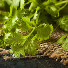 Cilantro and Garlic Balsamic Vinegar 