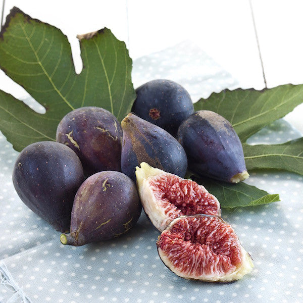 Fig Balsamic