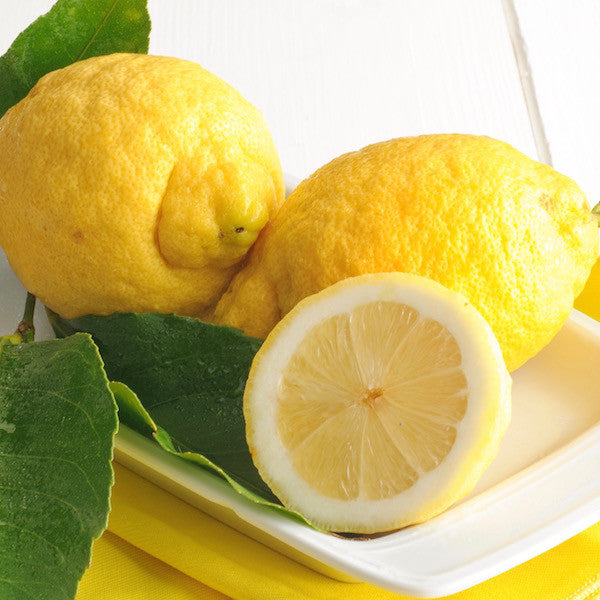 Sicilian Lemon White Balsamic Vinegar –